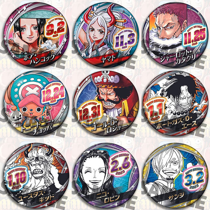 Anime Merchandise In Chinese - Tek Parça Anime Rozeti Pin Broş