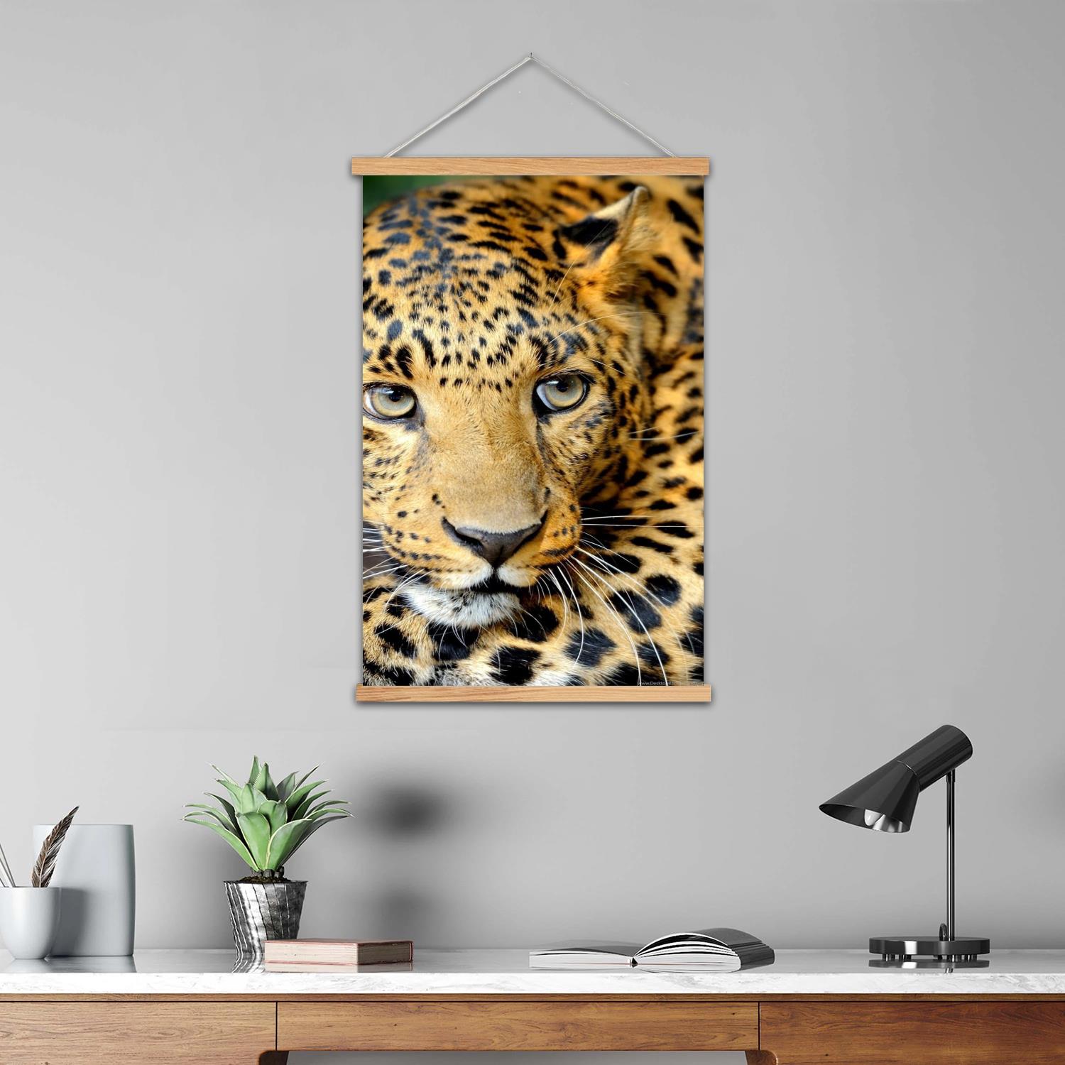 Leopar desenli çerçeveli duvar - Art Print Framed incelemesi ve fiyatı